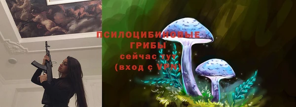 кокс Вяземский
