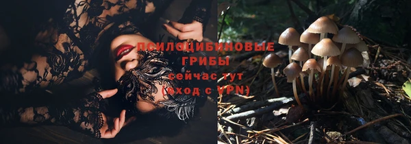 spice Вязники
