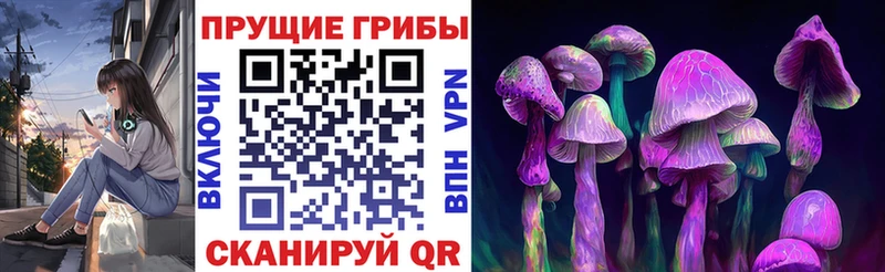 Купить  Усть-Илимск  Галлюциногенные грибы GOLDEN TEACHER 